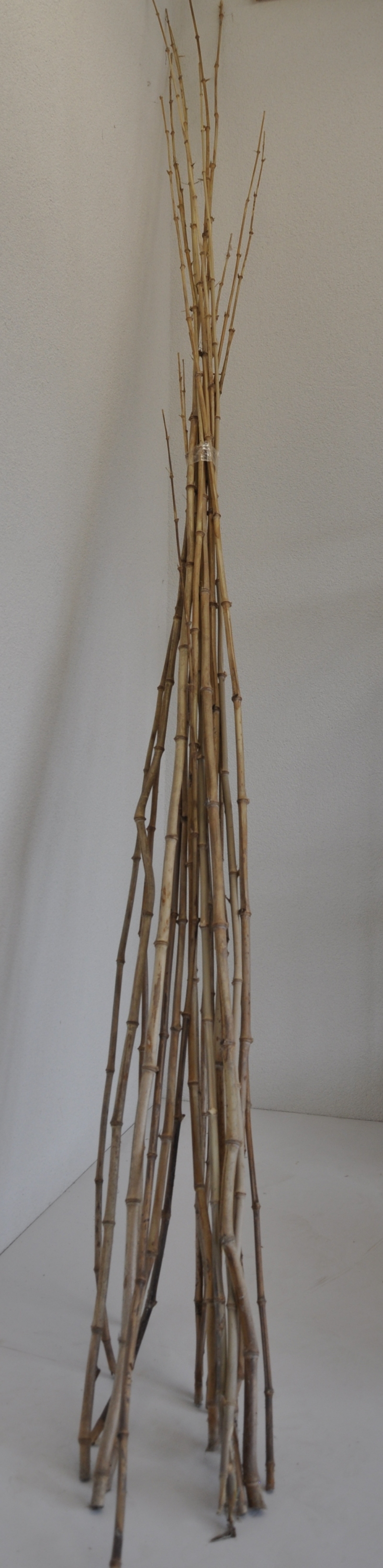 Bambusové tyče 1-1,5 cm